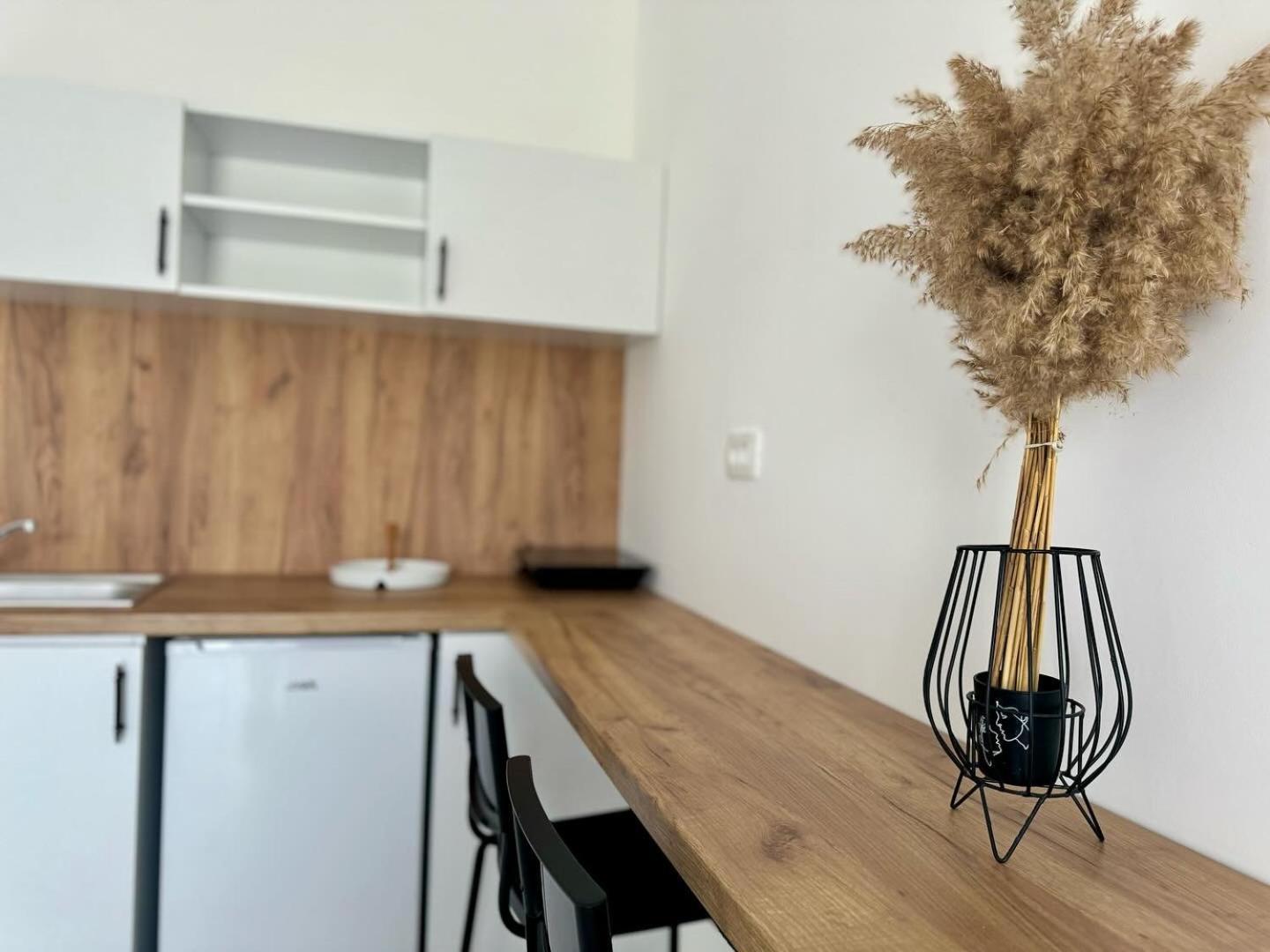 Apartmani Asovic 부드바 외부 사진